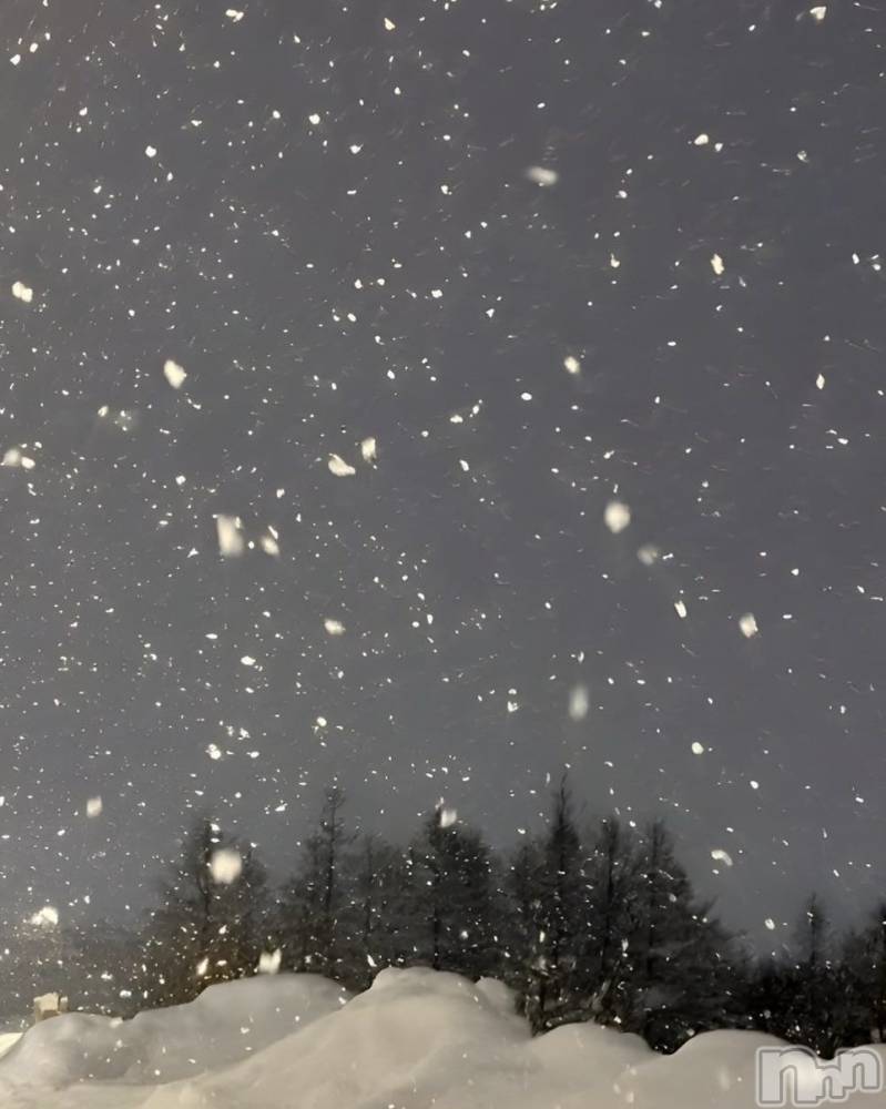 ��ˬ����Х��顦����֥���� �ץ���� ��ˬ(����� �ץ���� ����) �� �Ӽ���12��10���̥�֥�����🌲❄️��