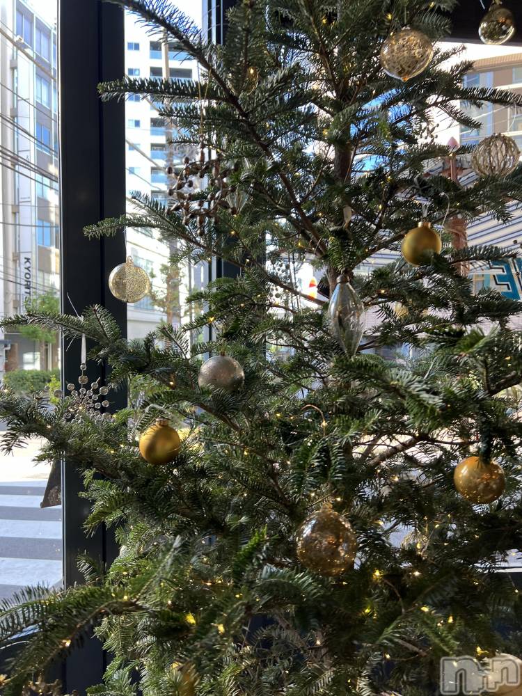 ��ˬ����Х��顦����֥���� �ץ���� ��ˬ(����� �ץ���� ����) �� �Ӽ���12��17���̥�֥�����🎄‎🤍��