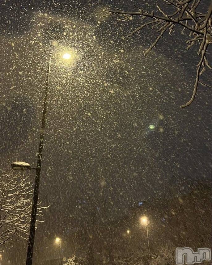 ��ˬ����Х��顦����֥���� �ץ���� ��ˬ(����� �ץ���� ����) �� �Ӽ���3��5���̥�֥�����⛄️🌷��