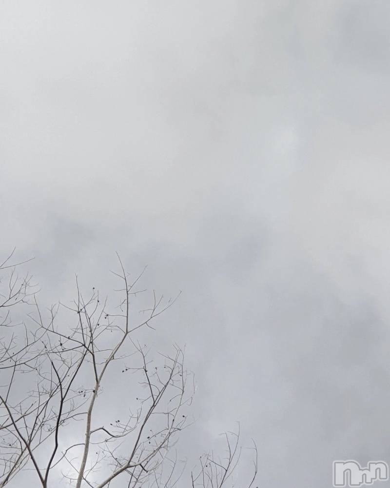 ��ˬ����Х��顦����֥���� �ץ���� ��ˬ(����� �ץ���� ����) �� �Ӽ���3��15���̥�֥�����☁️❄️��