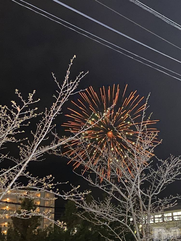 ��ˬ����Х��顦����֥���� �ץ���� ��ˬ(����� �ץ���� ����) �� �Ӽ���4��9���̥�֥�����✨🎆��