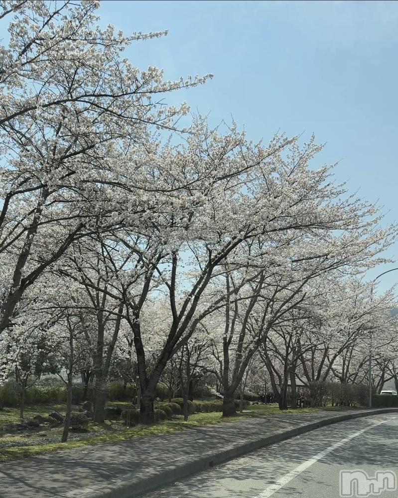 ��ˬ����Х��顦����֥���� �ץ���� ��ˬ(����� �ץ���� ����) �� �Ӽ���4��18���̥�֥�����🌸️🫧��