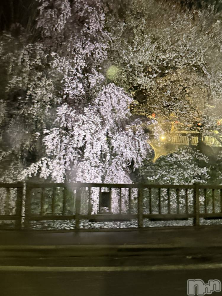 ��ˬ����Х��顦����֥���� �ץ���� ��ˬ(����� �ץ���� ����) �� �Ӽ���4��22���̥�֥�����🌸🌙��