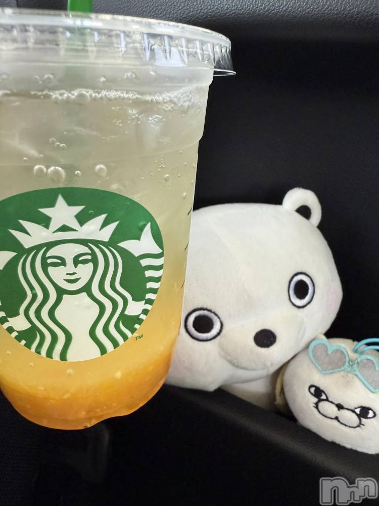 ��ˬ����Х��顦����֥���� �ץ���� ��ˬ(����� �ץ���� ����) �� �Ӽ���5��26���̥�֥�����🍋🥤��