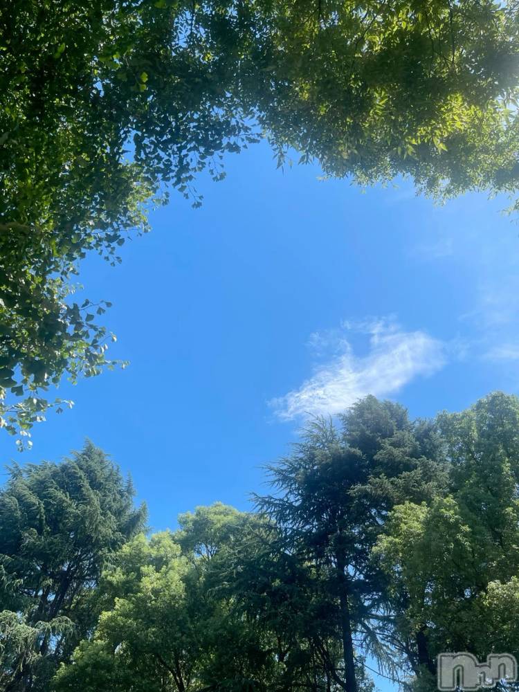 ��ˬ����Х��顦����֥���� �ץ���� ��ˬ(����� �ץ���� ����) �� �Ӽ���6��7���̥�֥�����☀️☁️��