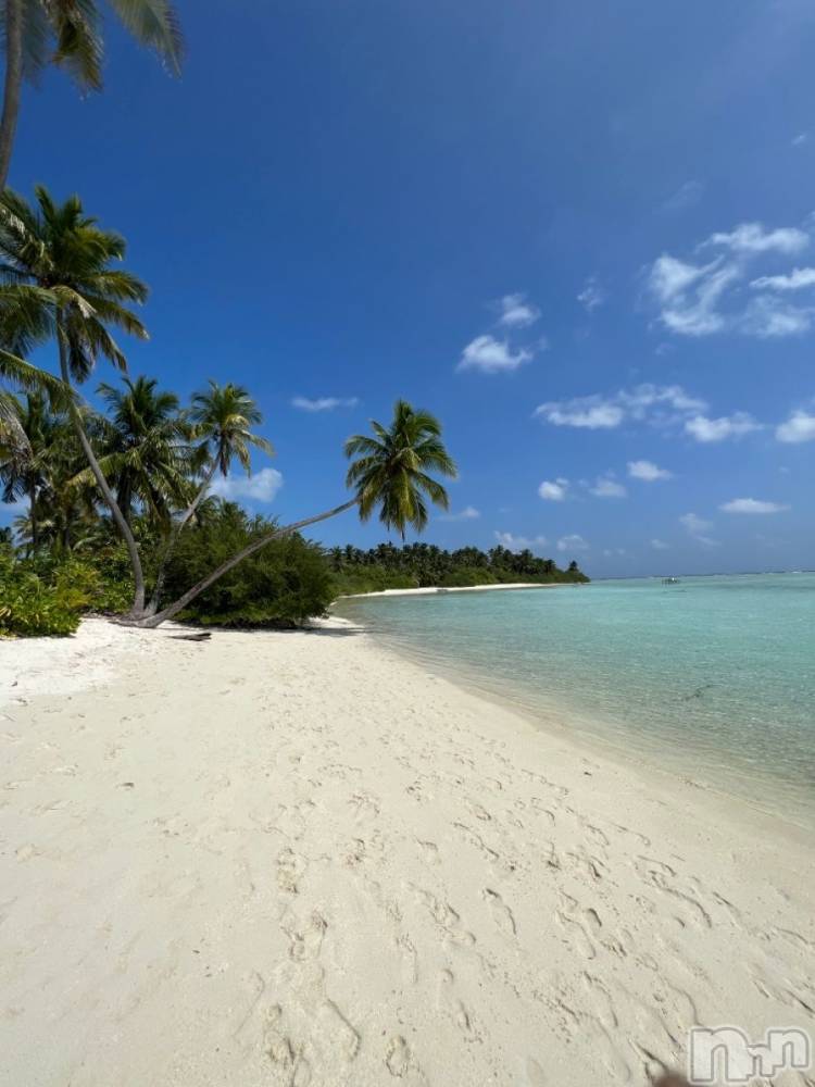 ��ˬ����Х��顦����֥���� �ץ���� ��ˬ(����� �ץ���� ����) �� �Ӽ���7��1���̥�֥�����🌞🌴��