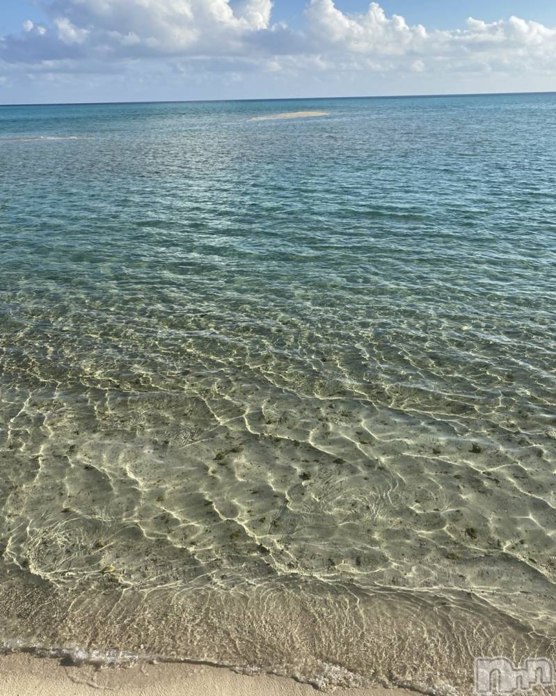 ��ˬ����Х��顦����֥���� �ץ���� ��ˬ(����� �ץ���� ����) �� �Ӽ���8��2���̥�֥�����🐬🏝��