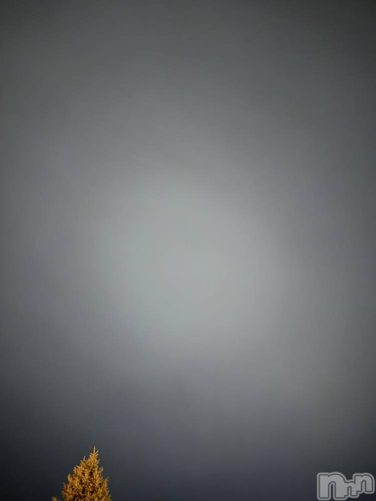 ��ˬ����Х��顦����֥���� �ץ���� ��ˬ(����� �ץ���� ����) �� �Ӽ���10��24���̥�֥�����🌠💫��