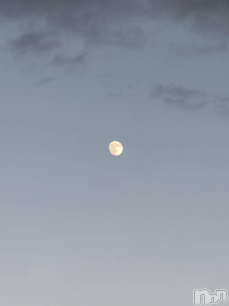 ��ˬ����Х��顦����֥���� �ץ���� ��ˬ(����� �ץ���� ����) �� �Ӽ���11��5���̥�֥�����🌕🌃��