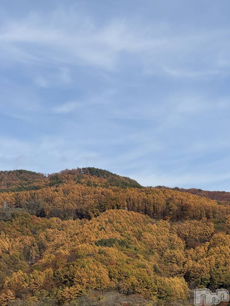 ��ˬ����Х��顦����֥���� �ץ���� ��ˬ(����� �ץ���� ����) �� �Ӽ���11��20���̥�֥�����⛰️🍂��