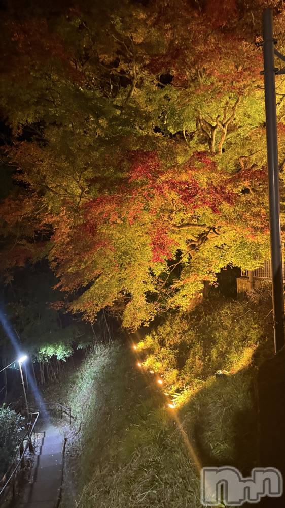 ��ˬ����Х��顦����֥���� �ץ���� ��ˬ(����� �ץ���� ����) �� �Ӽ���11��29���̥�֥�����🍁🌙��