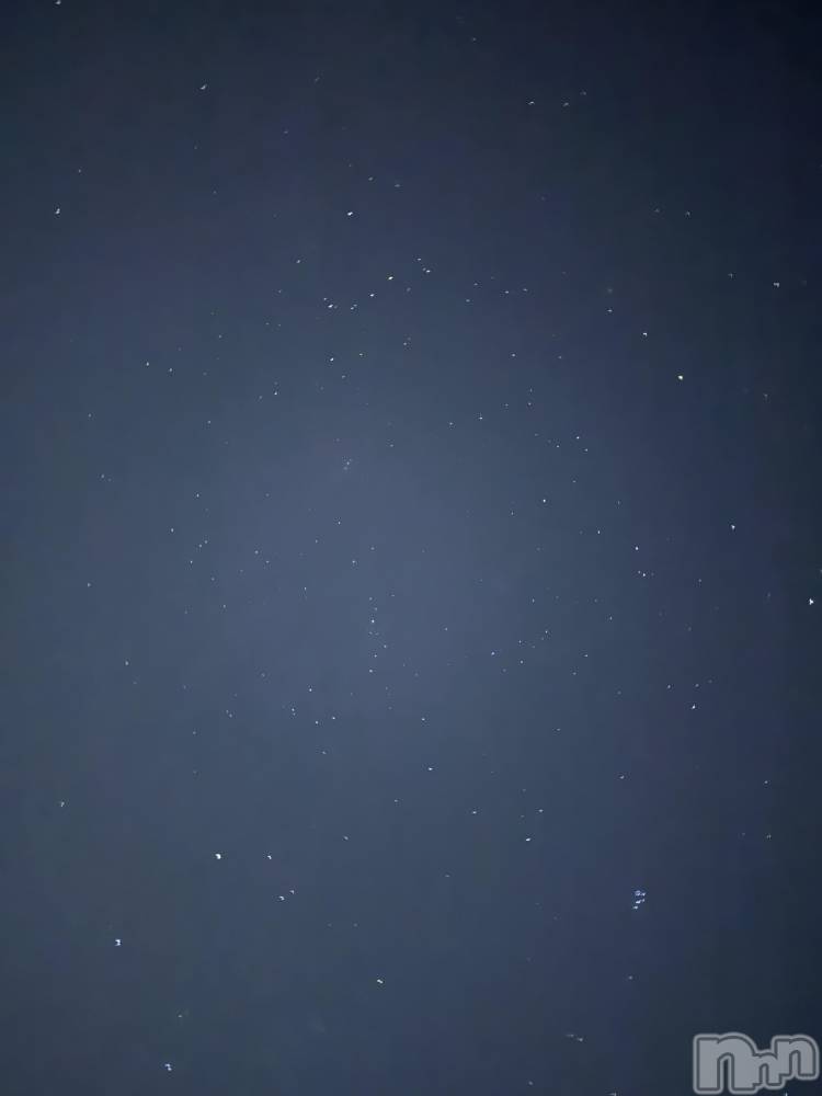 ��ˬ����Х��顦����֥���� �ץ���� ��ˬ(����� �ץ���� ����) �� �Ӽ���12��16���̥�֥�����🌠💫��