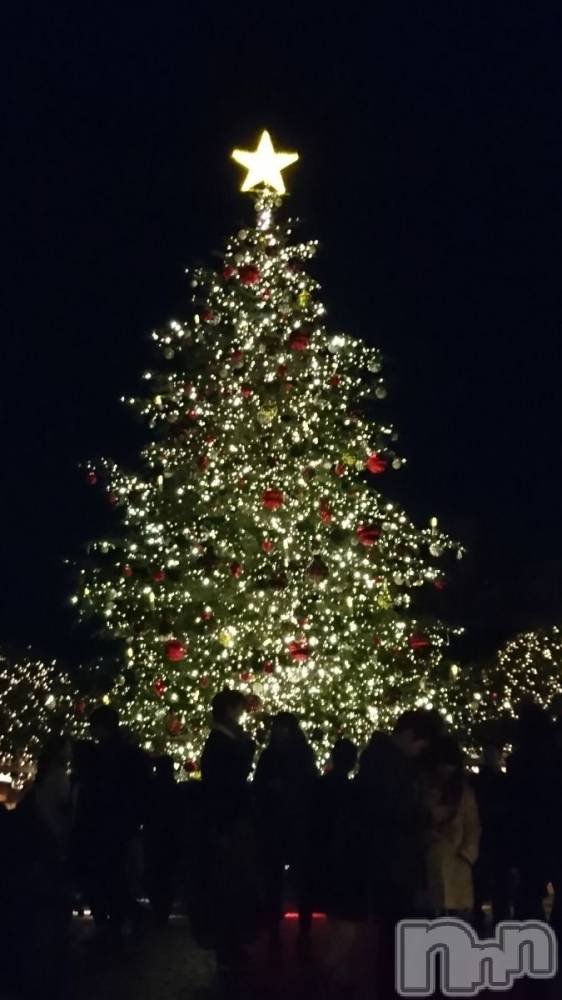 ��ˬ����Х��顦����֥���� �ץ���� ��ˬ(����� �ץ���� ����) �� �Ӽ���12��24���̥�֥�����🎄✨��