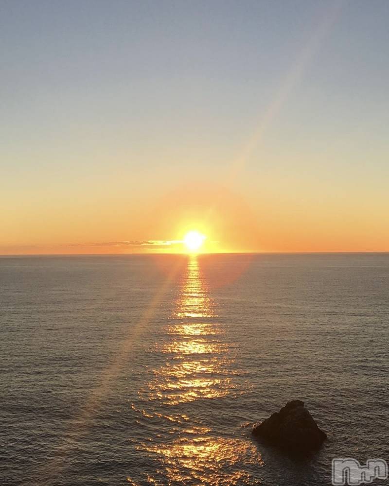 ��ˬ����Х��顦����֥���� �ץ���� ��ˬ(����� �ץ���� ����) �� �Ӽ���1��4���̥�֥�����🎍☀️��