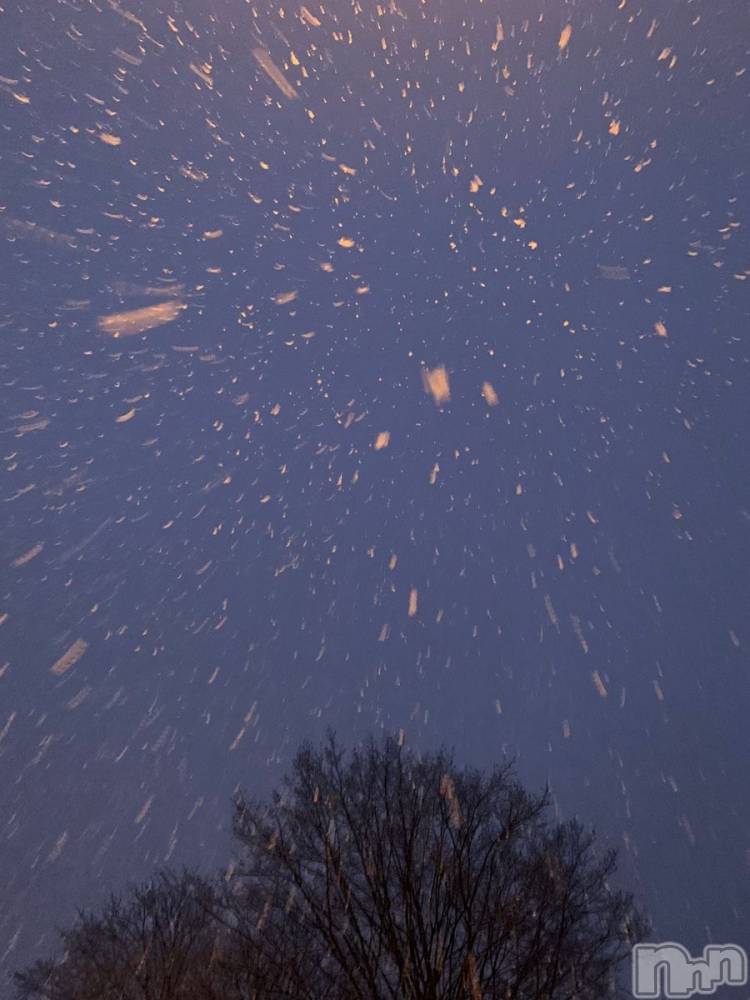 ��ˬ����Х��顦����֥���� �ץ���� ��ˬ(����� �ץ���� ����) �� �Ӽ���1��8���̥�֥�����🌨️❄️��