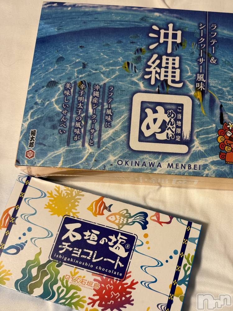 ��ˬ����Х��顦����֥���� �ץ���� ��ˬ(����� �ץ���� ����) �� �Ӽ���1��10���̥�֥�����🌺🌴��