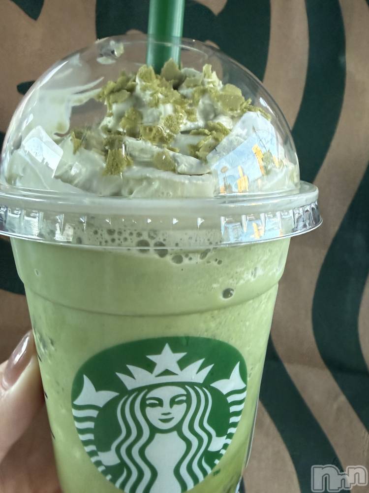 ��ˬ����Х��顦����֥���� �ץ���� ��ˬ(����� �ץ���� ����) �� �Ӽ���1��20���̥�֥�����🍵🌿‬��