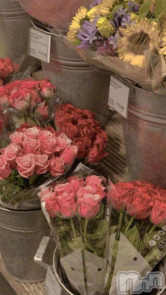 ��ˬ����Х��顦����֥���� �ץ���� ��ˬ(����� �ץ���� ����) �� �Ӽ���2��24���̥�֥�����✈️☁️��