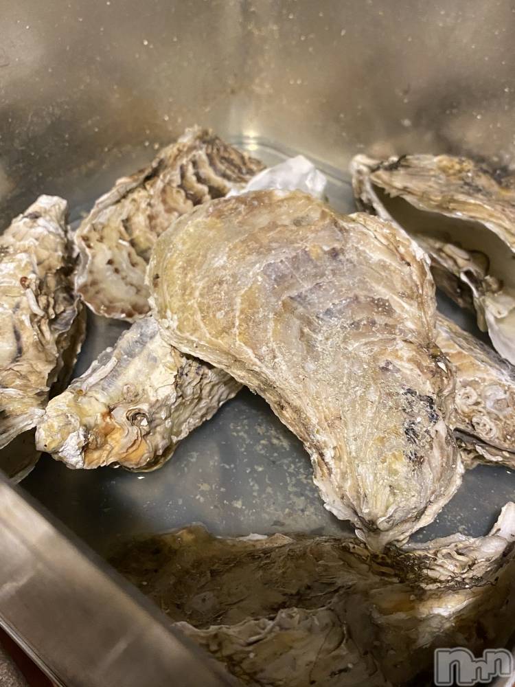 ��ˬ����Х��顦����֥���� �ץ���� ��ˬ(����� �ץ���� ����) �� �Ӽ���3��4���̥�֥�����🦪💞��