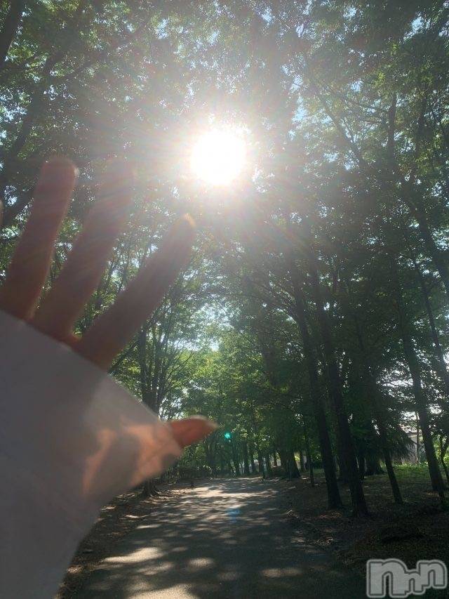 ��ˬ����Х��顦����֥���� �ץ���� ��ˬ(����� �ץ���� ����) ��2024ǯ6��20���̥�֥�����🌳☀️��