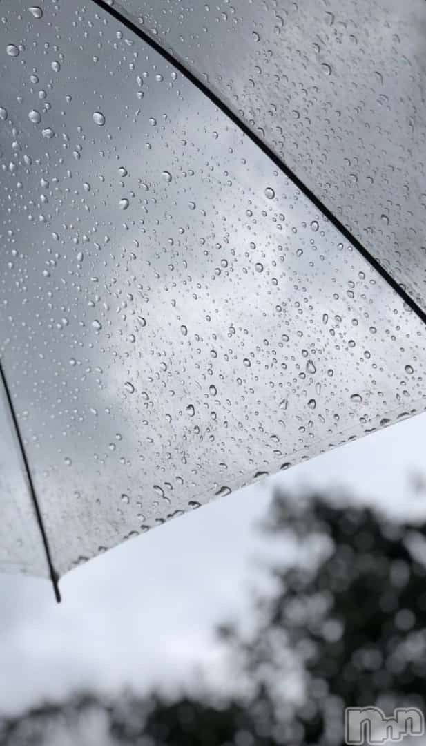 ��ˬ����Х��顦����֥���� �ץ���� ��ˬ(����� �ץ���� ����) ��2024ǯ6��25���̥�֥�����☔️🐸��