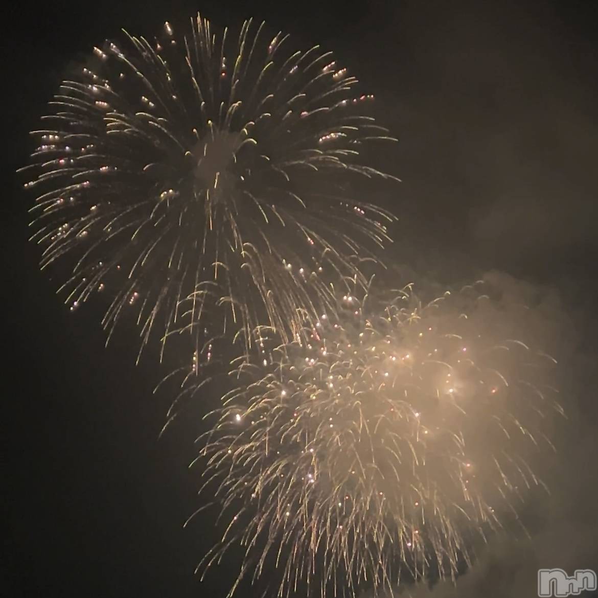 ��ˬ����Х��顦����֥���� �ץ���� ��ˬ(����� �ץ���� ����) ��2024ǯ8��16���̥�֥�����🎆🍻🏮��