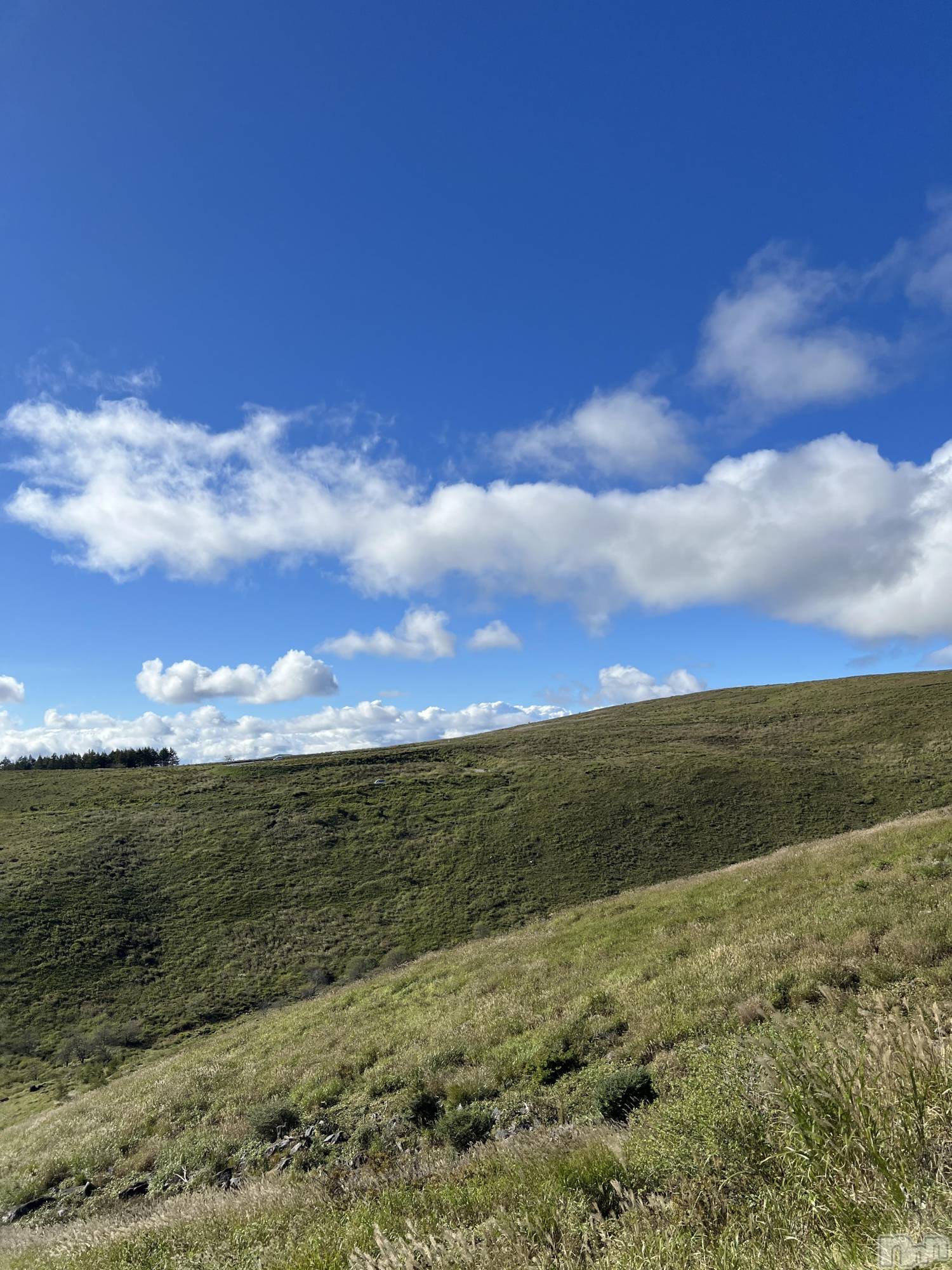 ��ˬ����Х��顦����֥���� �ץ���� ��ˬ(����� �ץ���� ����) ��2024ǯ10��3���̥�֥�����🍃⛅️��