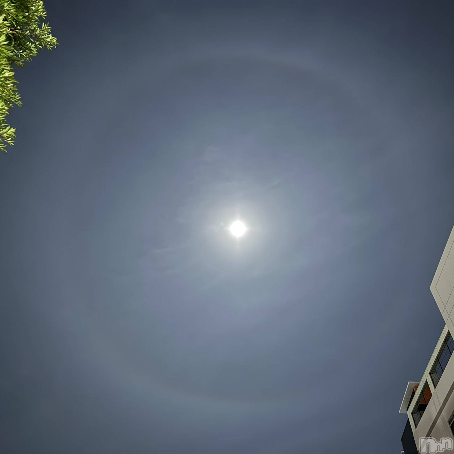 ��ˬ����Х��顦����֥���� �ץ���� ��ˬ(����� �ץ���� ����) ��2024ǯ10��19���̥�֥�����🌕✨��