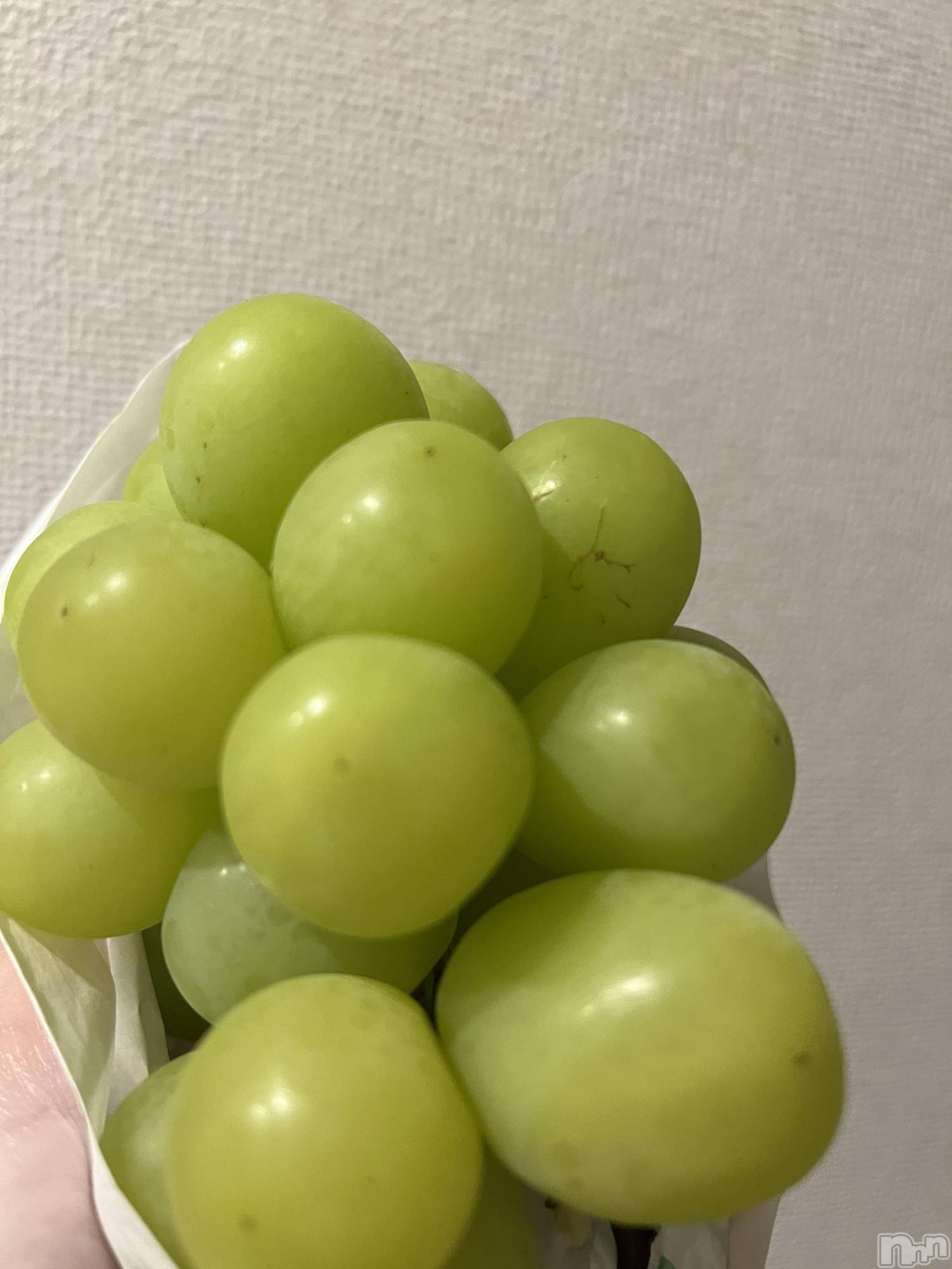 ��ˬ����Х��顦����֥���� �ץ���� ��ˬ(����� �ץ���� ����) ��2024ǯ10��28���̥�֥�����🍇💚��