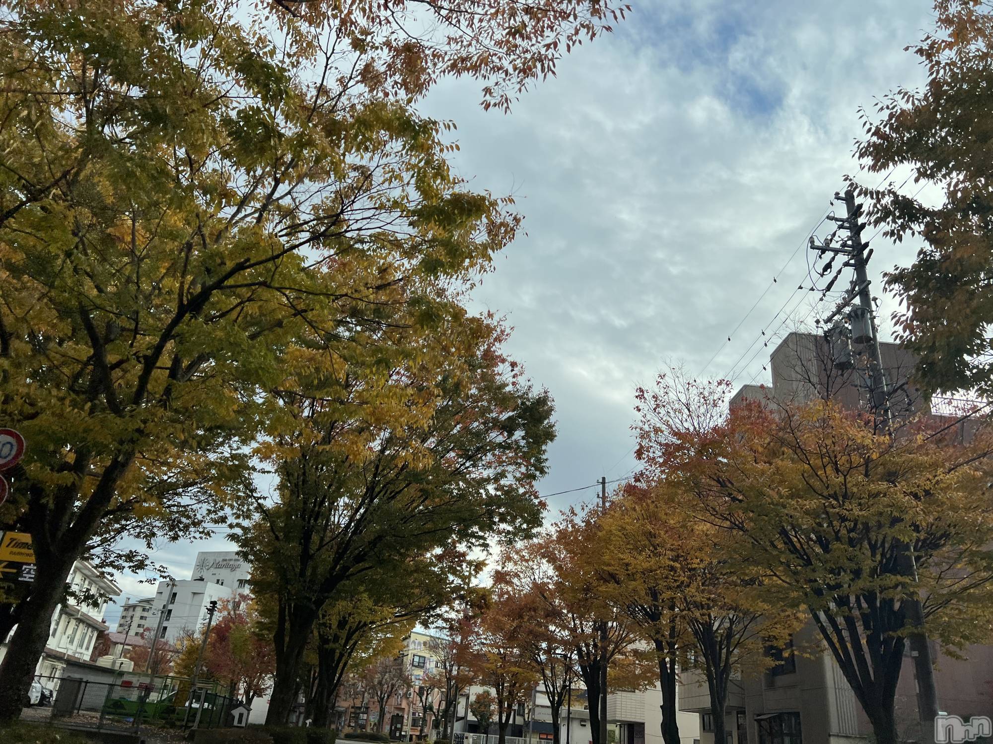 ��ˬ����Х��顦����֥���� �ץ���� ��ˬ(����� �ץ���� ����) ��2024ǯ11��19���̥�֥�����11��19�� 18��30ʬ�Υ֥�����