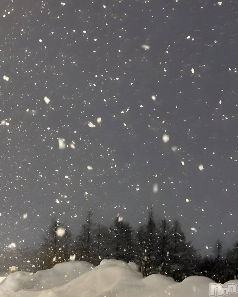 ��ˬ����Х��顦����֥���� �ץ���� ��ˬ(����� �ץ���� ����) ��2024ǯ12��10���̥�֥�����🌲❄️��