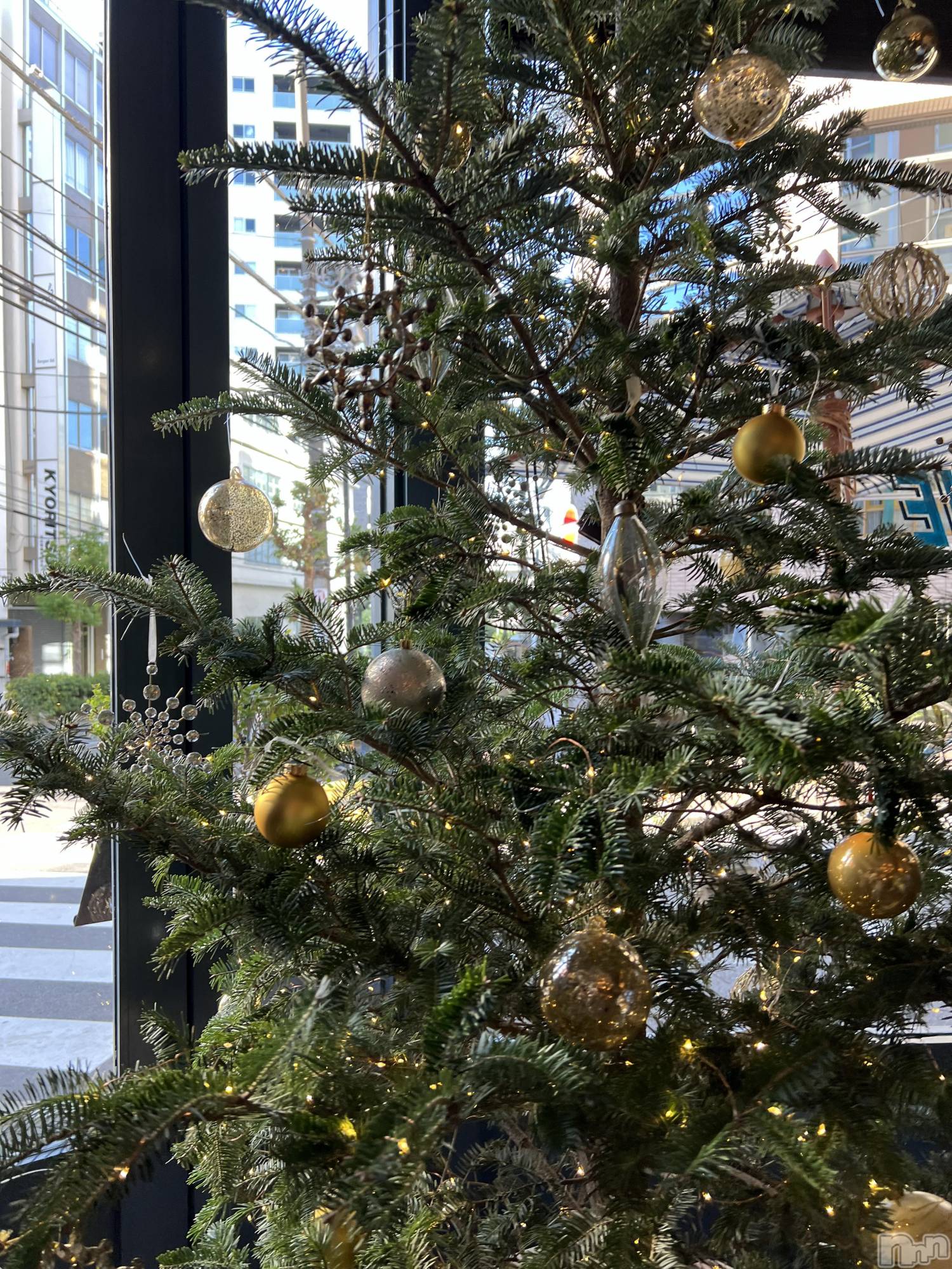 ��ˬ����Х��顦����֥���� �ץ���� ��ˬ(����� �ץ���� ����) ��2024ǯ12��17���̥�֥�����🎄‎🤍��