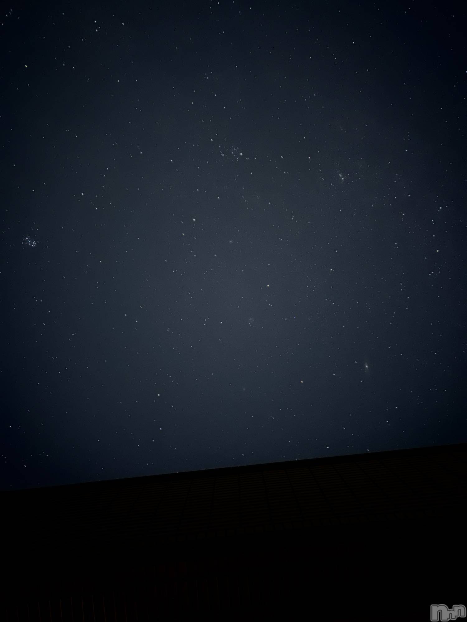 ��ˬ����Х��顦����֥���� �ץ���� ��ˬ(����� �ץ���� ����) ��2025ǯ1��14���̥�֥�����⭐️💫��