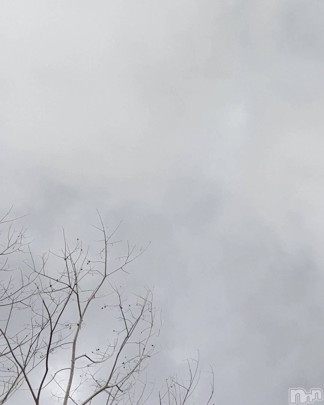 ��ˬ����Х��顦����֥���� �ץ���� ��ˬ(����� �ץ���� ����) ��2025ǯ3��15���̥�֥�����☁️❄️��