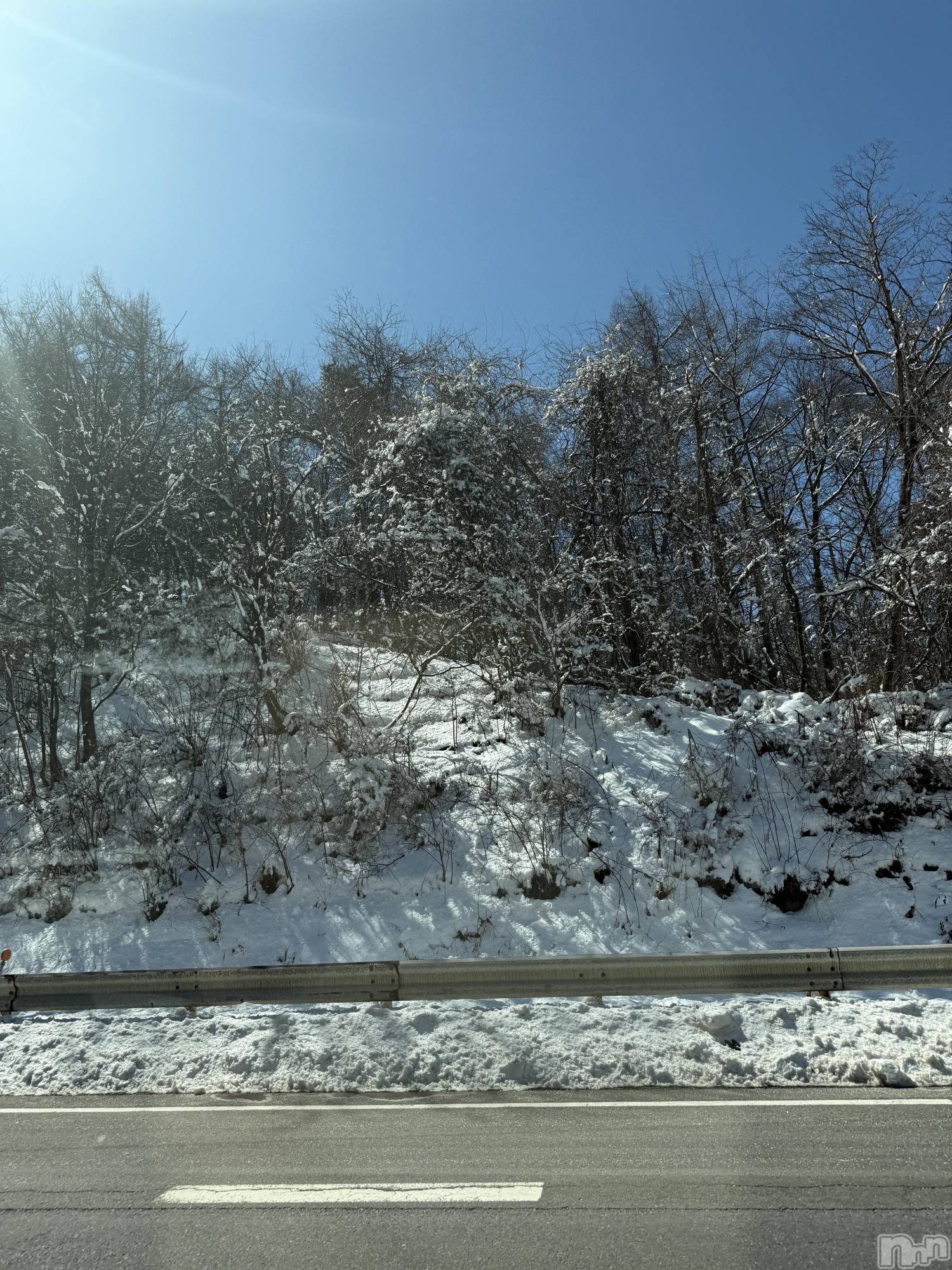 ��ˬ����Х��顦����֥���� �ץ���� ��ˬ(����� �ץ���� ����) ��2025ǯ3��22���̥�֥�����☃️🌞��