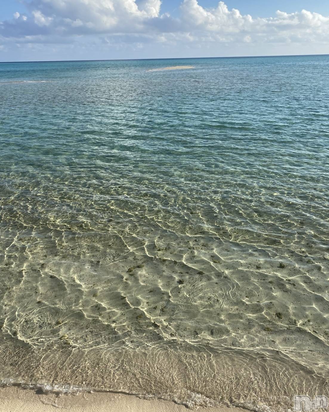 ��ˬ����Х��顦����֥���� �ץ���� ��ˬ(����� �ץ���� ����) ��2025ǯ8��2���̥�֥�����🐬🏝��