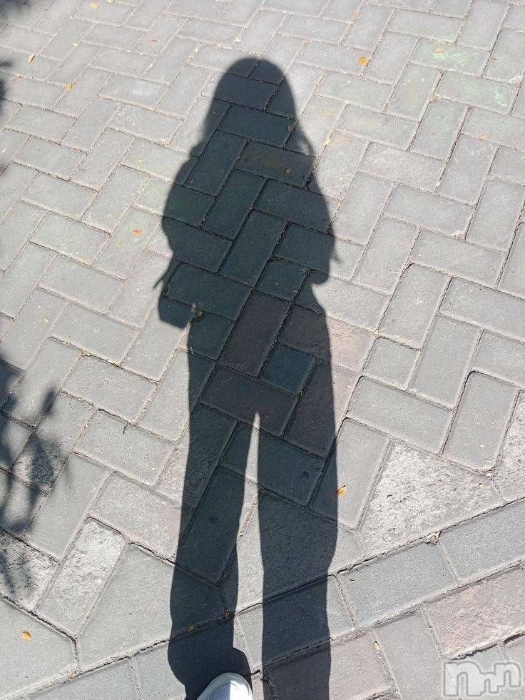 ��ˬ����Х��顦����֥���� �ץ���� ��ˬ(����� �ץ���� ����) ��2025ǯ9��30���̥�֥�����🐕🍃��