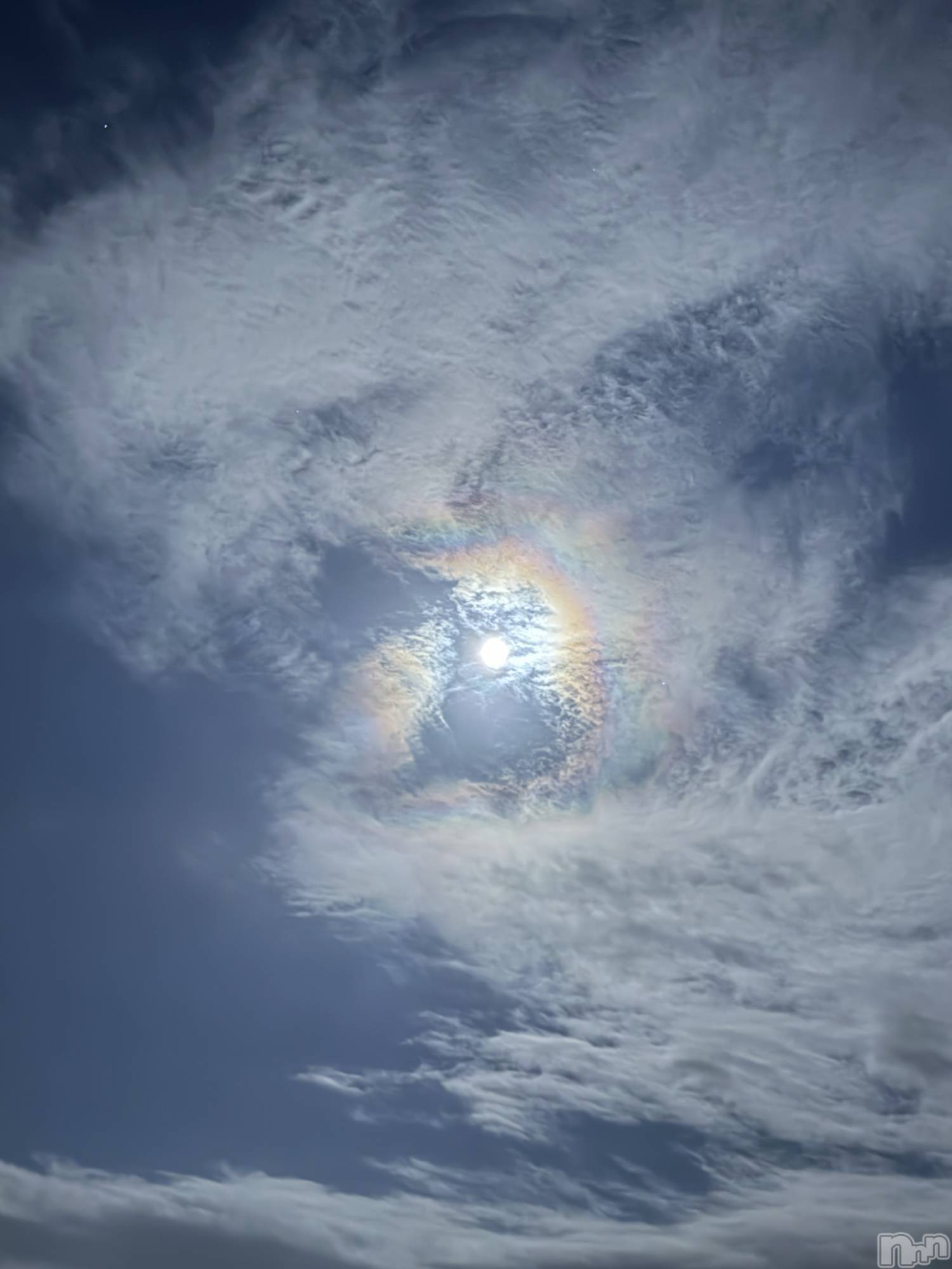 ��ˬ����Х��顦����֥���� �ץ���� ��ˬ(����� �ץ���� ����) ��2025ǯ10��7���̥�֥�����🌕🐇��