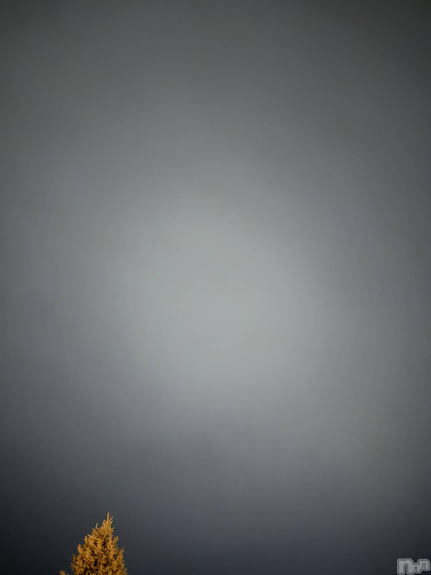 ��ˬ����Х��顦����֥���� �ץ���� ��ˬ(����� �ץ���� ����) ��2025ǯ10��24���̥�֥�����🌠💫��