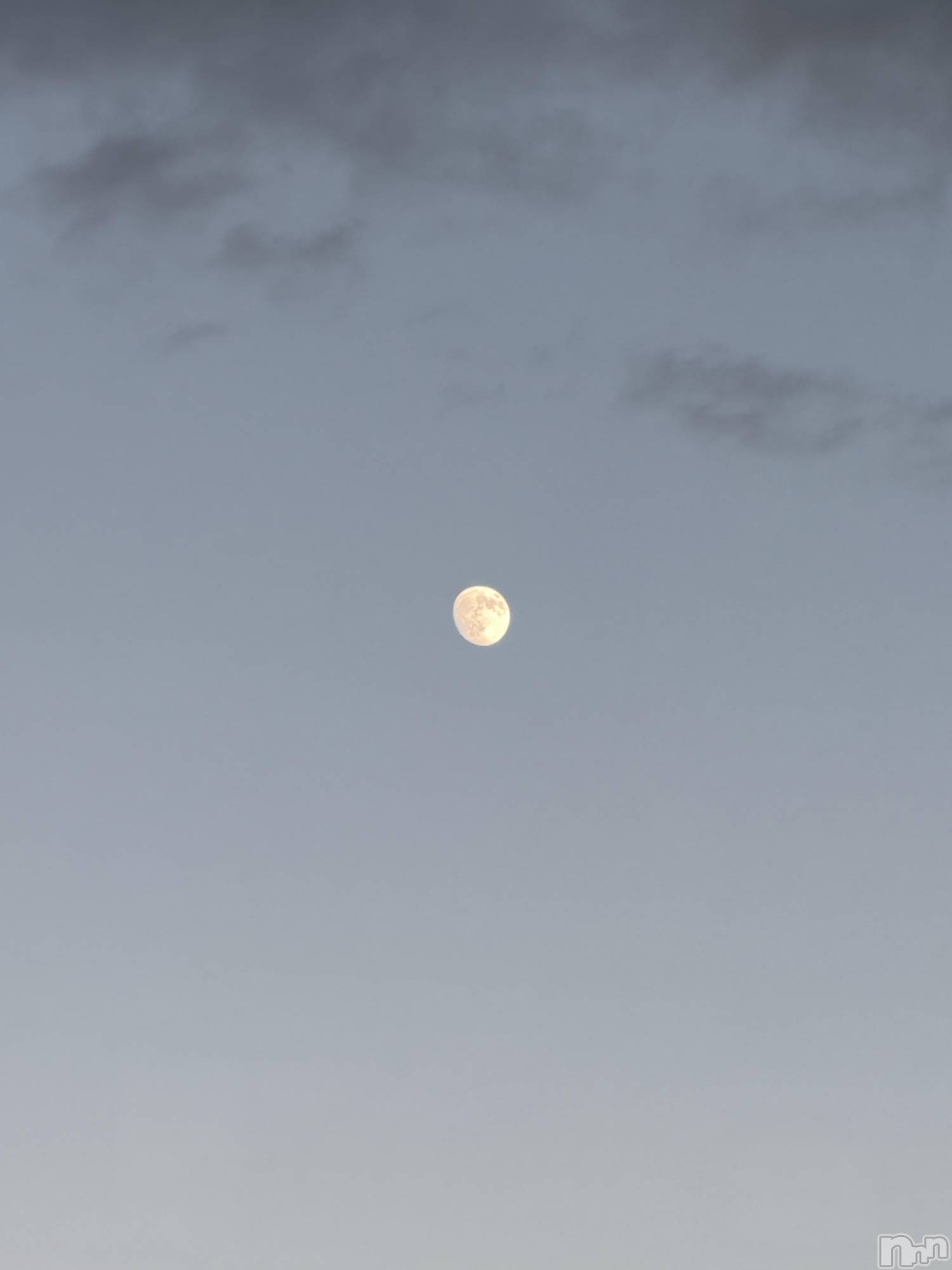 ��ˬ����Х��顦����֥���� �ץ���� ��ˬ(����� �ץ���� ����) ��2025ǯ11��5���̥�֥�����🌕🌃��