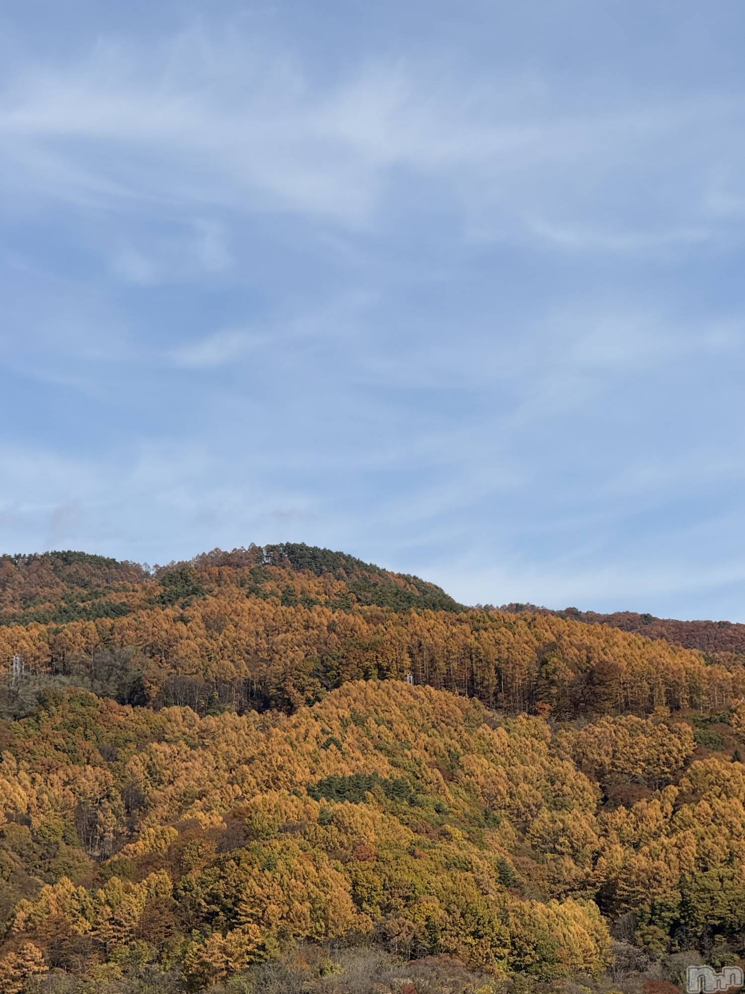 ��ˬ����Х��顦����֥���� �ץ���� ��ˬ(����� �ץ���� ����) ��2025ǯ11��20���̥�֥�����⛰️🍂��