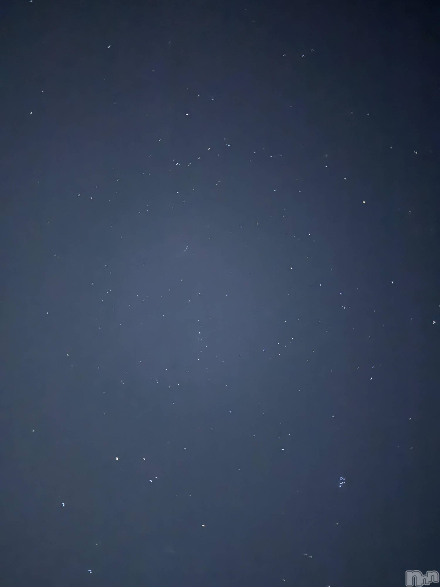 ��ˬ����Х��顦����֥���� �ץ���� ��ˬ(����� �ץ���� ����) ��2025ǯ12��16���̥�֥�����🌠💫��