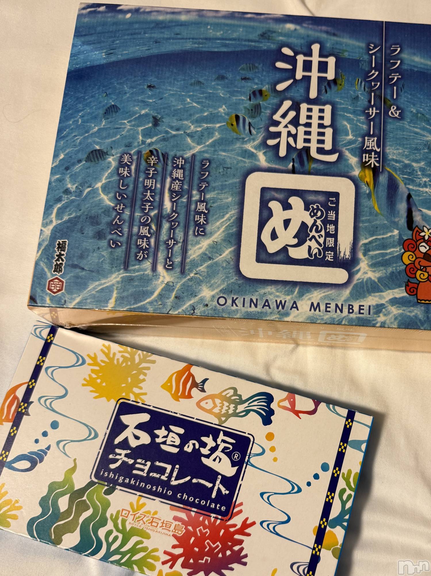 ��ˬ����Х��顦����֥���� �ץ���� ��ˬ(����� �ץ���� ����) ��2026ǯ1��10���̥�֥�����🌺🌴��