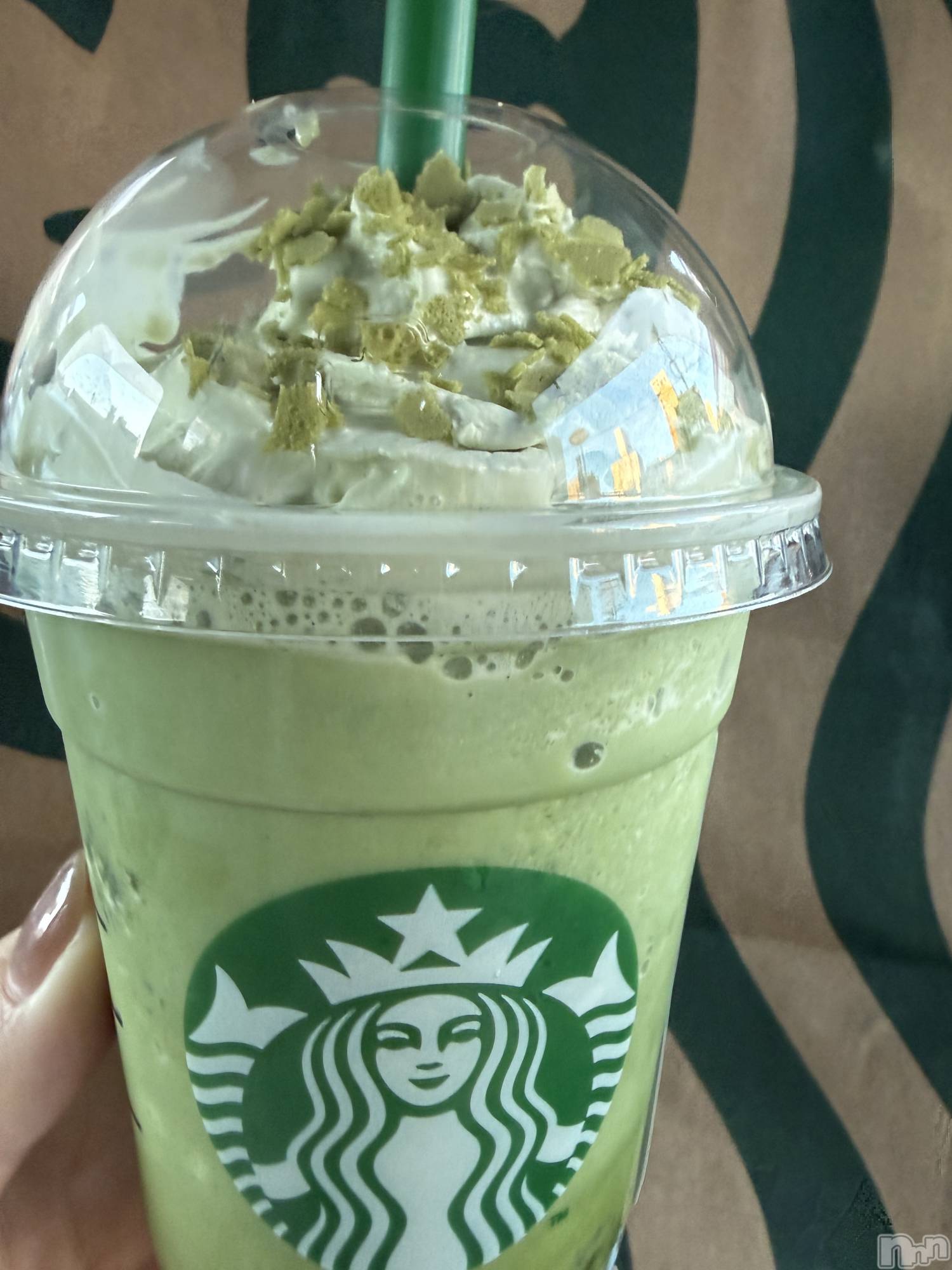 ��ˬ����Х��顦����֥���� �ץ���� ��ˬ(����� �ץ���� ����) ��2026ǯ1��20���̥�֥�����🍵🌿‬��