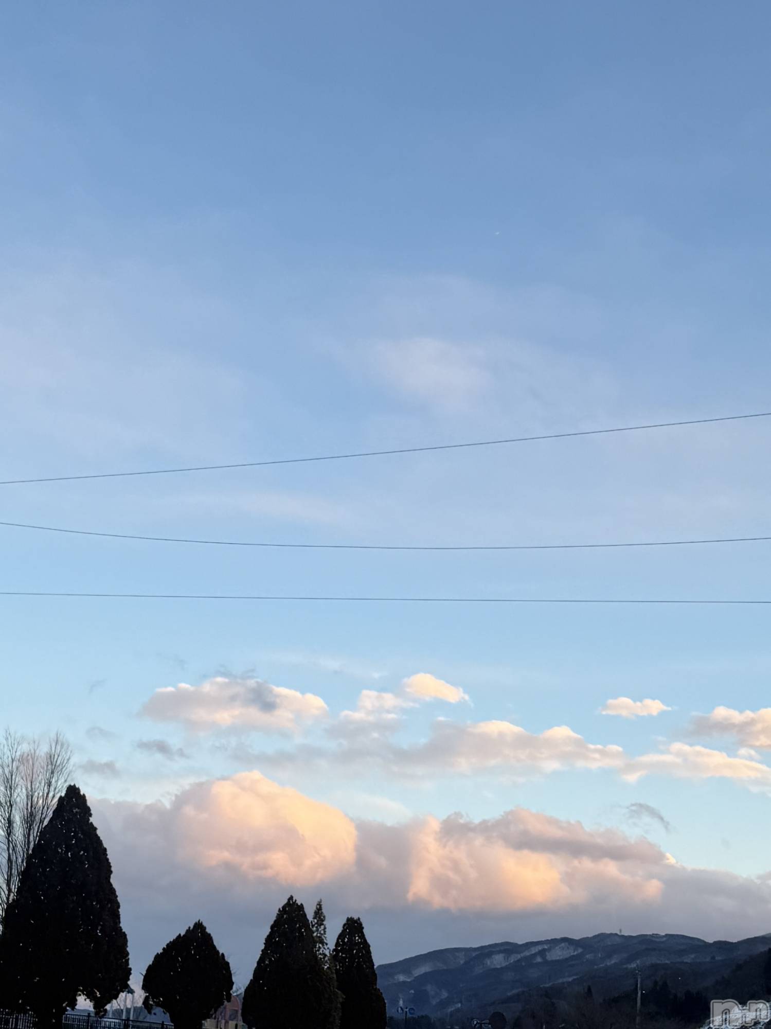 ��ˬ����Х��顦����֥���� �ץ���� ��ˬ(����� �ץ���� ����) ��2026ǯ2��13���̥�֥�����⛅️☀️��