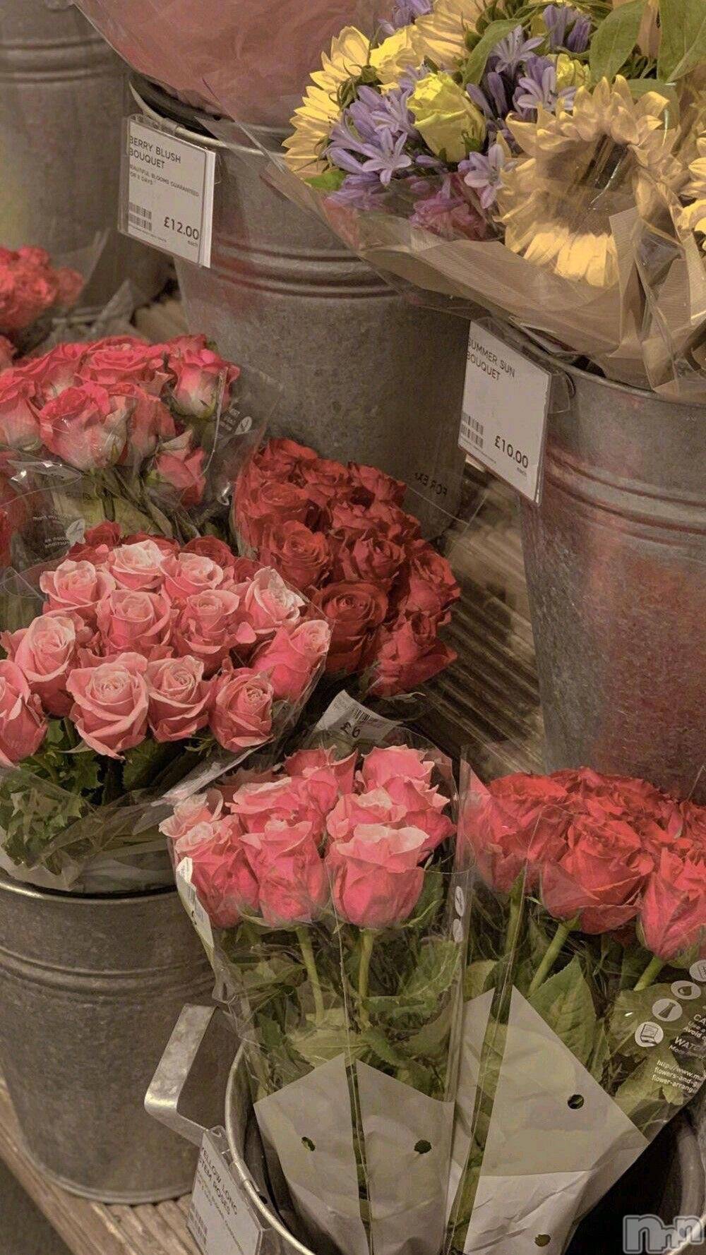 ��ˬ����Х��顦����֥���� �ץ���� ��ˬ(����� �ץ���� ����) ��2026ǯ2��24���̥�֥�����✈️☁️��