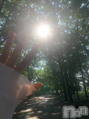 ��ˬ����Х��顦����֥���� �ץ���� ��ˬ(����� �ץ���� ����) �� �Ӽ���6��20���̥�֥�����🌳☀️��