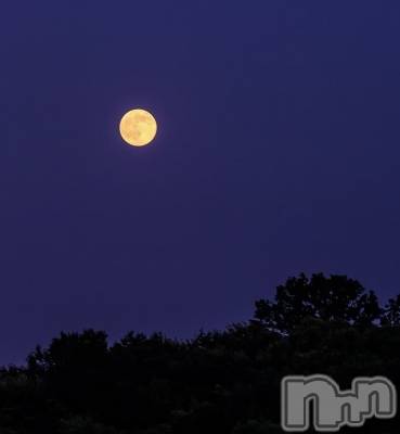 ��ˬ����Х��顦����֥���� �ץ���� ��ˬ(����� �ץ���� ����) �� �Ӽ���7��23���̥�֥�����🌃🌕��