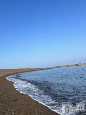 ��ˬ����Х��顦����֥���� �ץ���� ��ˬ(����� �ץ���� ����) �� �Ӽ���8��10���̥�֥�����🏝️🪼��