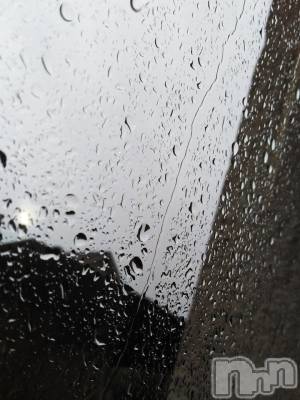 ��ˬ����Х��顦����֥���� �ץ���� ��ˬ(����� �ץ���� ����) �� �Ӽ���8��29���̥�֥�����⛈🌪��